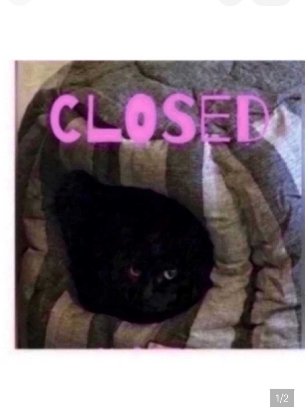 CLOSED 🐈‍⬛Pillows pick 5